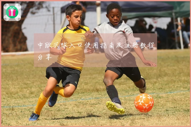 中欧买球入口使用指南及注册教程分享
