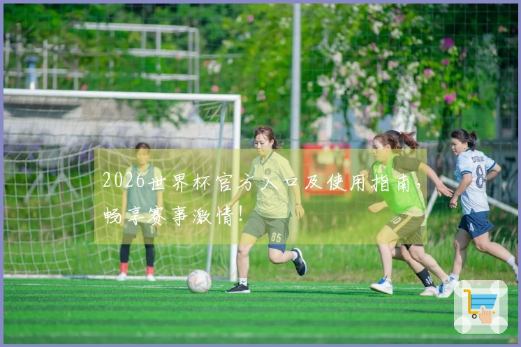 2026世界杯官方入口及使用指南，畅享赛事激情！