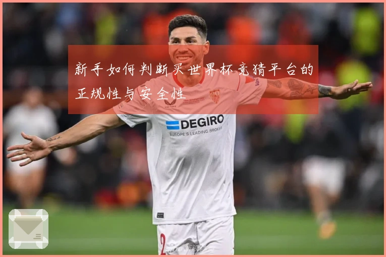 新手如何判断买世界杯竞猜平台的正规性与安全性