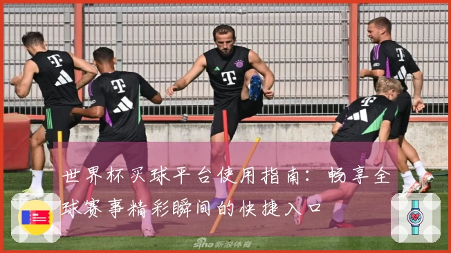 世界杯买球平台使用指南：畅享全球赛事精彩瞬间的快捷入口