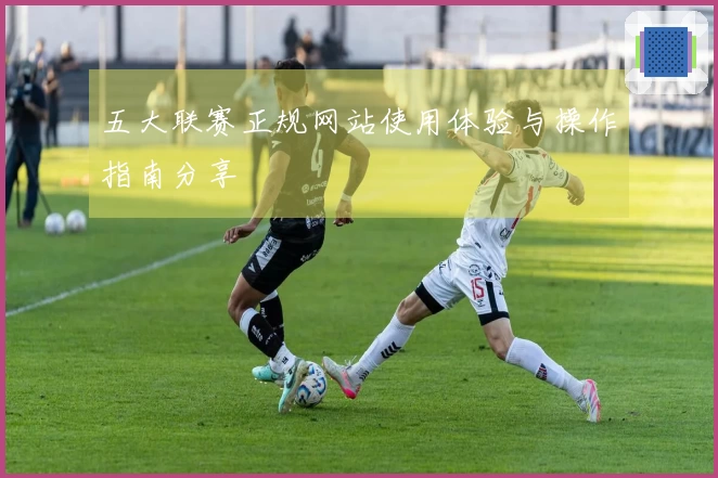 五大联赛正规网站使用体验与操作指南分享
