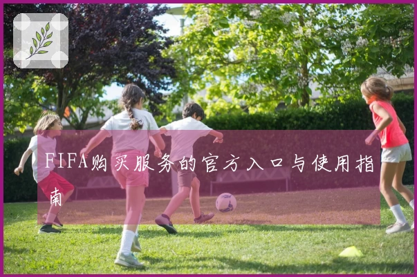 FIFA购买服务的官方入口与使用指南