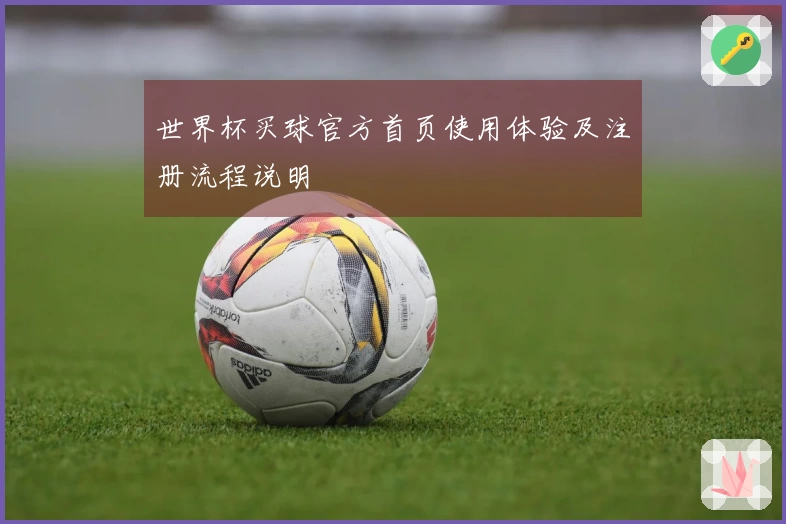世界杯买球官方首页使用体验及注册流程说明