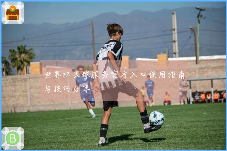 世界杯买球服务官方入口使用指南与技巧分享
