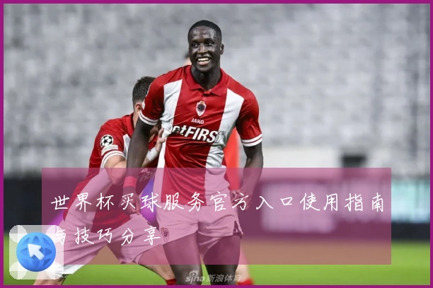世界杯买球服务官方入口使用指南与技巧分享