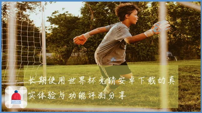 长期使用世界杯竞猜安卓下载的真实体验与功能评测分享