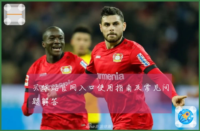 买球站官网入口使用指南及常见问题解答