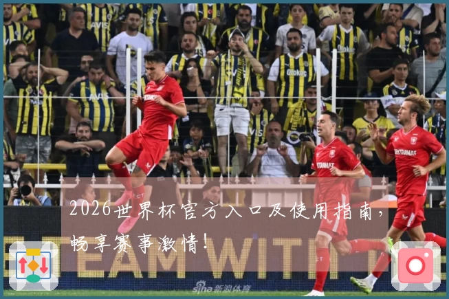 2026世界杯官方入口及使用指南，畅享赛事激情！
