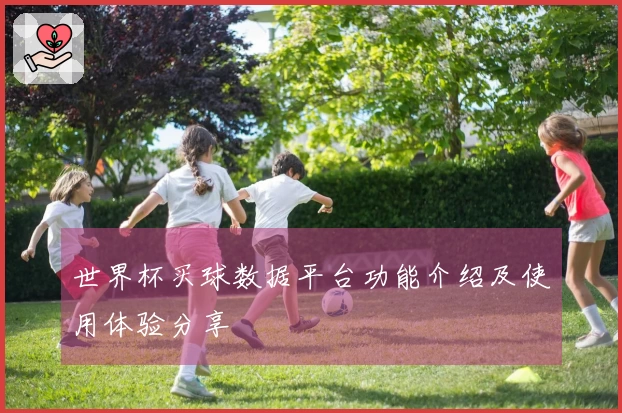世界杯买球数据平台功能介绍及使用体验分享