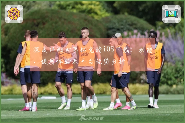 深度评测世界杯竞猜iOS下载：功能、使用体验及平台优势分析