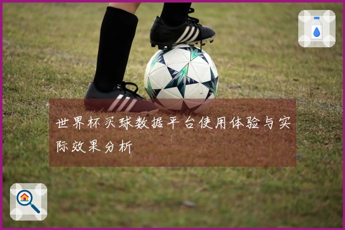 世界杯买球数据平台使用体验与实际效果分析