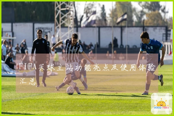 FIFA买球主站功能亮点及使用体验汇总