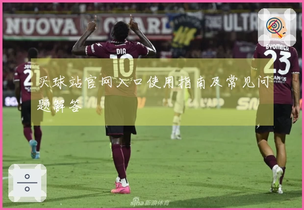 买球站官网入口使用指南及常见问题解答